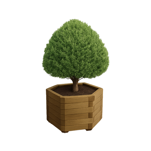 Jardinera Madera Hexagonal de pino tratado en autoclave, resistente a exteriores y ensamblada con tornillos